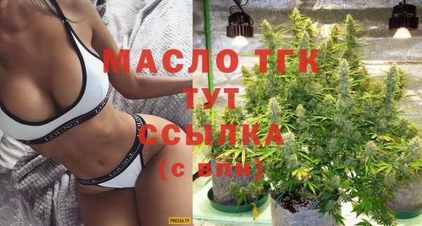 дмт Новодвинск