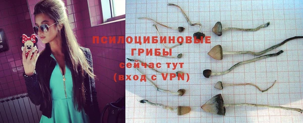 дмт Новодвинск