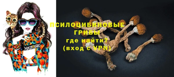 ПСИЛОЦИБИНОВЫЕ ГРИБЫ Нефтекумск