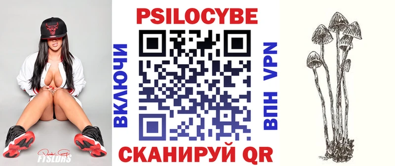 где купить   Богородск  Псилоцибиновые грибы мухоморы 