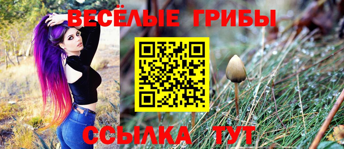 где можно купить наркотик  Вход с VPN  Богородск  Галлюциногенные грибы ЛСД  Псилоцибиновые грибы Psilocybine cubensis 