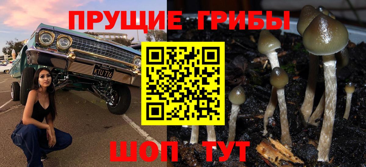 Псилоцибиновые грибы мухоморы Богородск