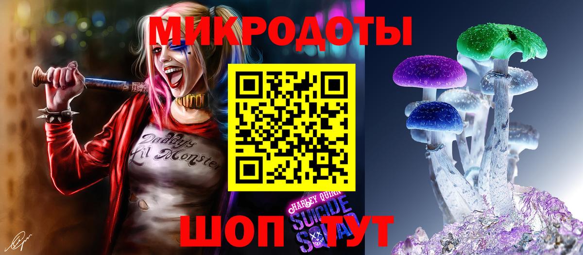 Галлюциногенные грибы Psilocybe  купить наркотики цена  Богородск 