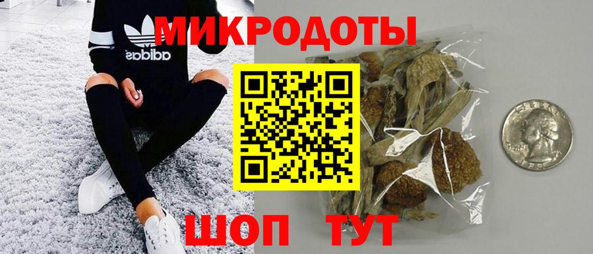 Псилоцибиновые грибы Psilocybine cubensis Богородск